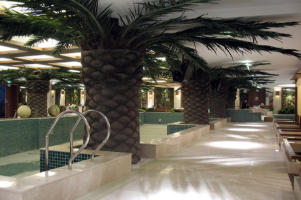 成都茶馆养生推荐：隐秘好去处(成都茶馆哪家好)